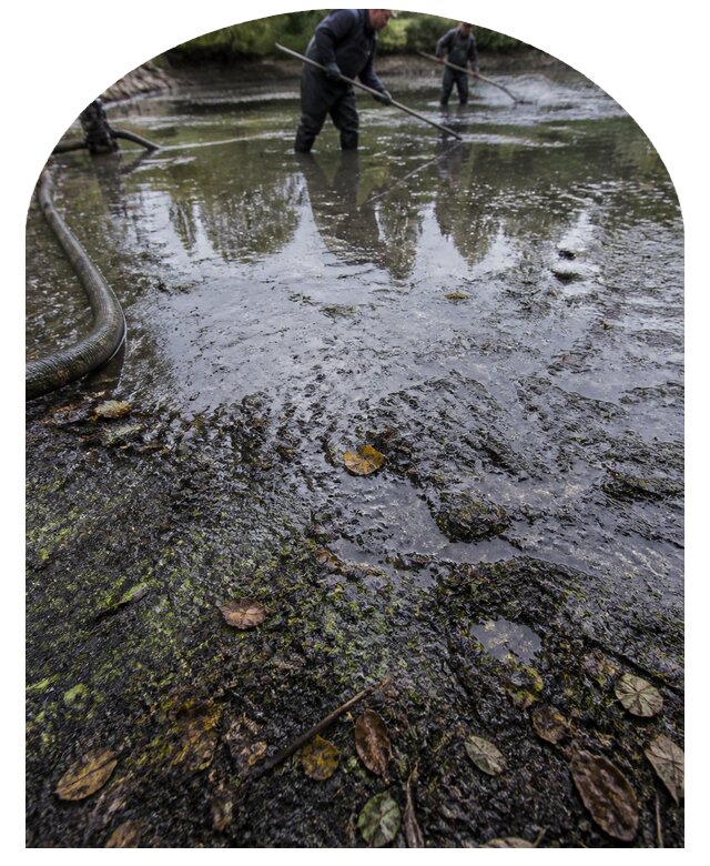 Очистка пруда в Шебекине от ила мусора и водорослей с вывозом